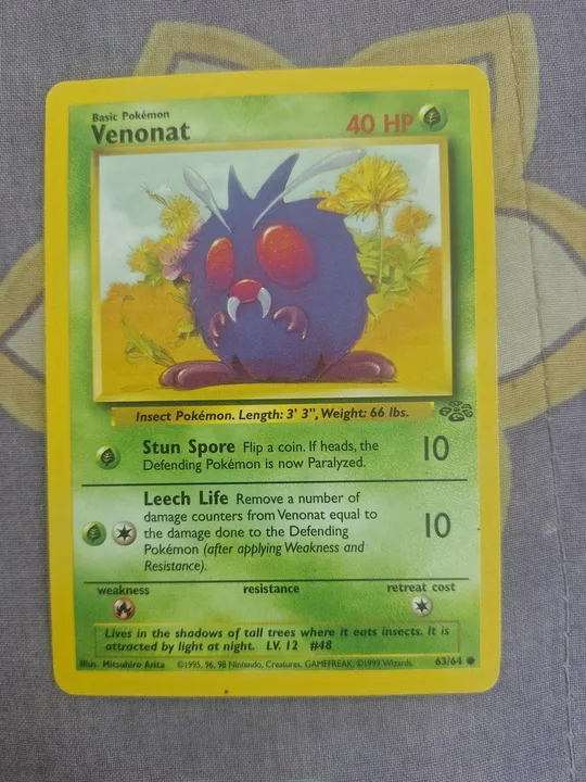 Foto 1