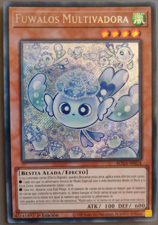 Foto 1