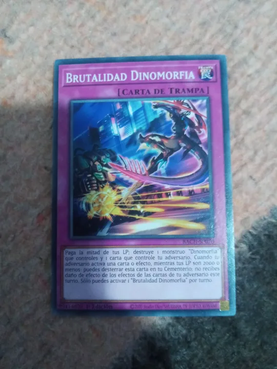 Foto 1