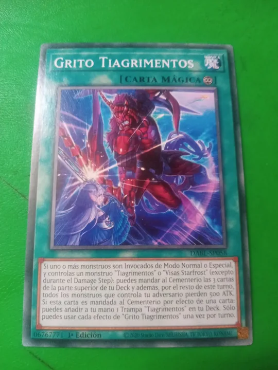 Foto 1