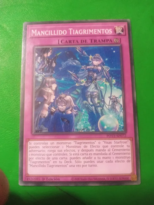 Foto 1