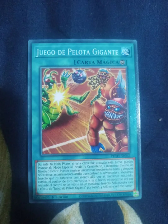 Foto 1