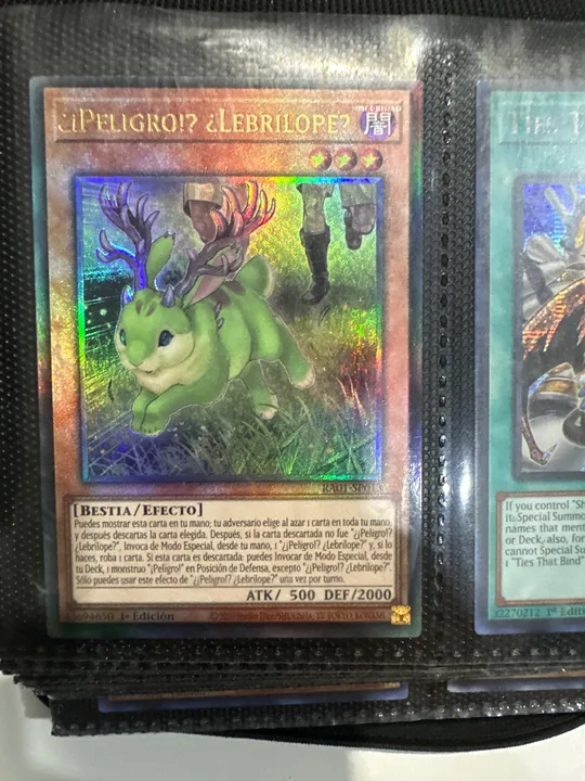 Foto 1