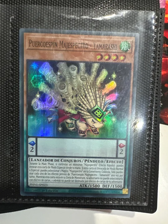 Foto 1