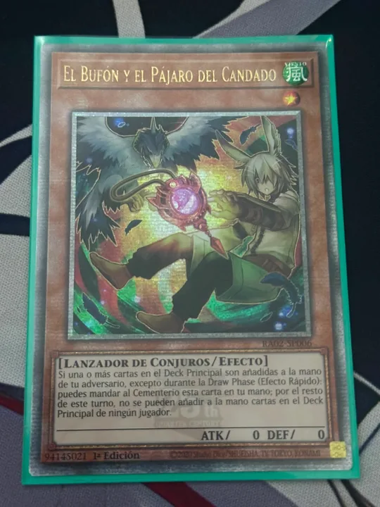 Foto 1