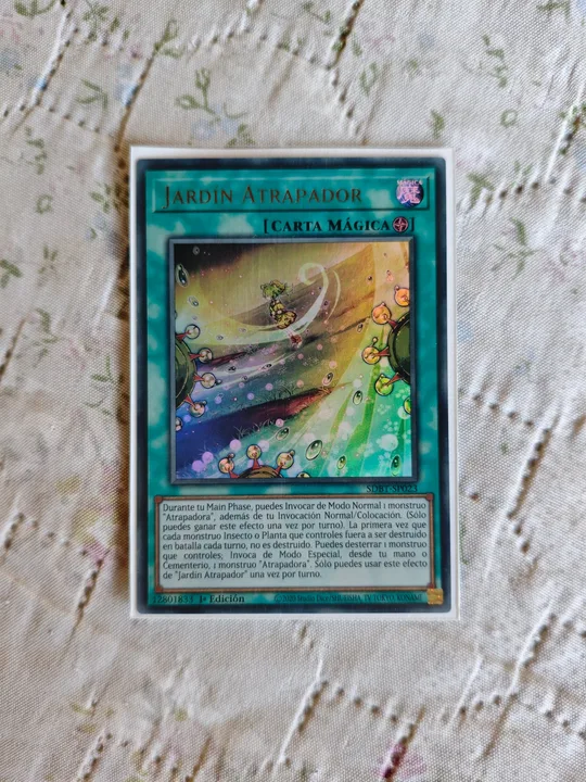 Foto 1
