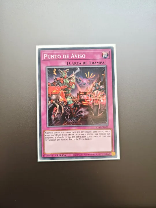 Foto 1