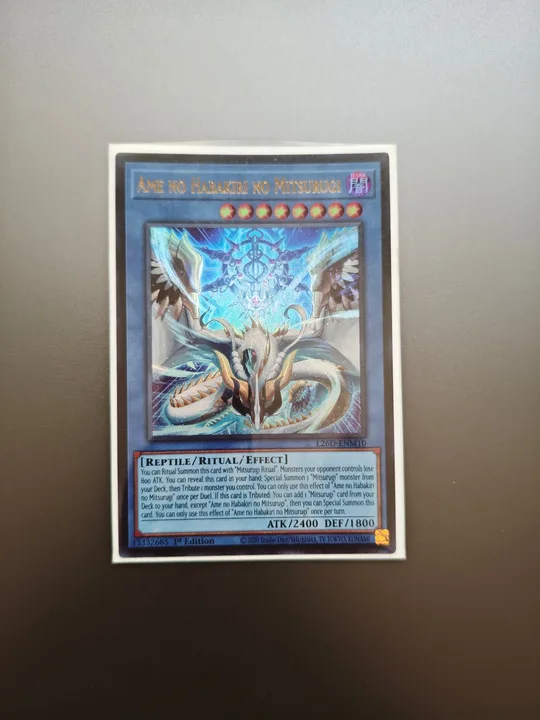 Foto 1