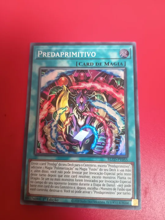 Foto 1