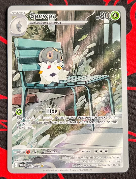 Foto 1
