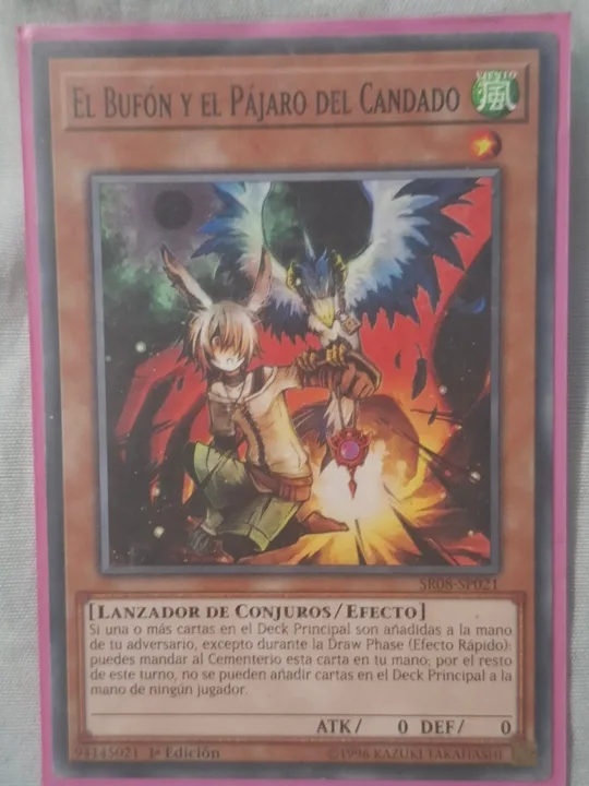 Foto 1